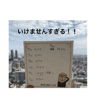 いけません。‼️（個別スタンプ：2）
