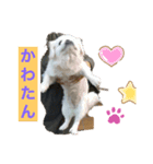 いけません。‼️（個別スタンプ：5）
