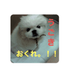 いけません。‼️（個別スタンプ：6）
