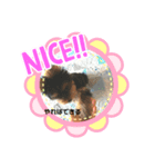 茶まめのまめちゃん2（個別スタンプ：3）