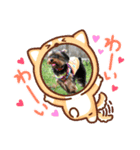 茶まめのまめちゃん2（個別スタンプ：5）