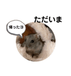 ムウちゃん②（個別スタンプ：14）