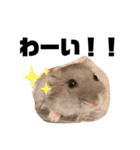 ムウちゃん②（個別スタンプ：18）