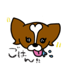 ぱてぃぷぺちょ（個別スタンプ：5）