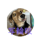 まろろろんぬ（個別スタンプ：5）