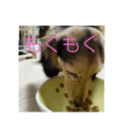 まろろろんぬ（個別スタンプ：7）