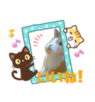 マロン(うさぎ)のスタンプ③（個別スタンプ：3）