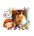 マロン(うさぎ)のスタンプ③（個別スタンプ：5）