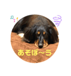 そらの日常 Part3（個別スタンプ：2）