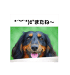 そらの日常 Part3（個別スタンプ：8）