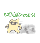 ねこねこ日常会話（個別スタンプ：10）