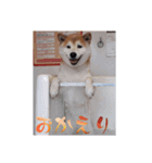 ケンじろう（個別スタンプ：1）