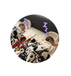 双子の日常2（個別スタンプ：10）
