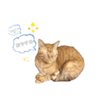 れおたろシリーズ♡（個別スタンプ：4）