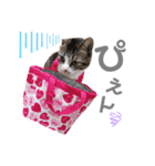 れおたろシリーズ♡（個別スタンプ：6）