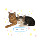 れおたろシリーズ♡（個別スタンプ：7）