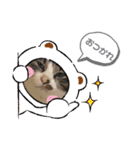 れおたろシリーズ♡（個別スタンプ：8）