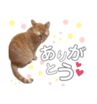 れおたろシリーズ♡（個別スタンプ：13）