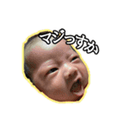 あおくん 日常スタンプ（個別スタンプ：12）