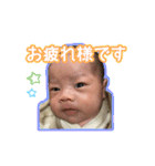 あおくん 日常スタンプ（個別スタンプ：22）