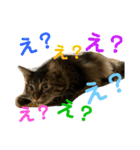 雷蔵と干瓢（個別スタンプ：6）