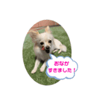 GAJU STAMP vol.3（個別スタンプ：10）