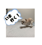 GAJU STAMP vol.3（個別スタンプ：15）
