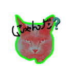 デブ猫小鉄先生のツンデレな日々（個別スタンプ：1）
