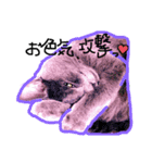 デブ猫小鉄先生のツンデレな日々（個別スタンプ：6）