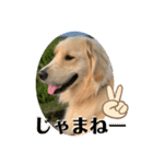 小松弁のきなたん（個別スタンプ：10）
