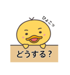 ひよこのぴよっぺ（個別スタンプ：34）