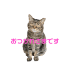 れんこちゃんすたんぷ（個別スタンプ：7）