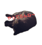 れんこちゃんすたんぷ（個別スタンプ：10）