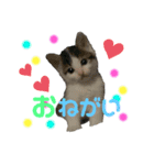 ひじき＆がんも（個別スタンプ：1）