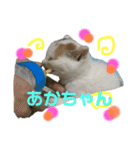 ひじき＆がんも（個別スタンプ：2）