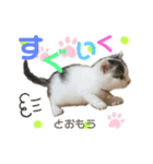ひじき＆がんも（個別スタンプ：3）