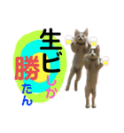 ひじき＆がんも（個別スタンプ：5）