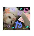 ひじき＆がんも（個別スタンプ：14）