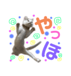 ひじき＆がんも（個別スタンプ：15）