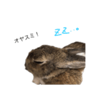 うさぎさんモカの日常（個別スタンプ：4）