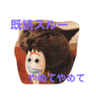 ハルハルスタンプ第二弾（個別スタンプ：7）