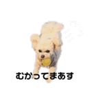 たらちんスタンプ♩第一弾（個別スタンプ：5）