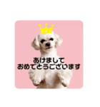 たらちんスタンプ♩第一弾（個別スタンプ：16）