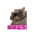 イケメン男子中学生の空想（個別スタンプ：5）