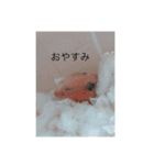 イケメン男子中学生の空想（個別スタンプ：6）