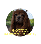 シュリ爺のデイリースタンプ（個別スタンプ：2）