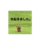 シュリ爺のデイリースタンプ（個別スタンプ：6）