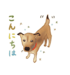 犬のゴン（個別スタンプ：2）