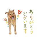 犬のゴン（個別スタンプ：14）