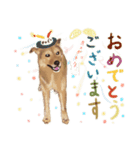 犬のゴン（個別スタンプ：17）